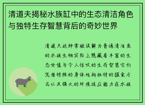 清道夫揭秘水族缸中的生态清洁角色与独特生存智慧背后的奇妙世界